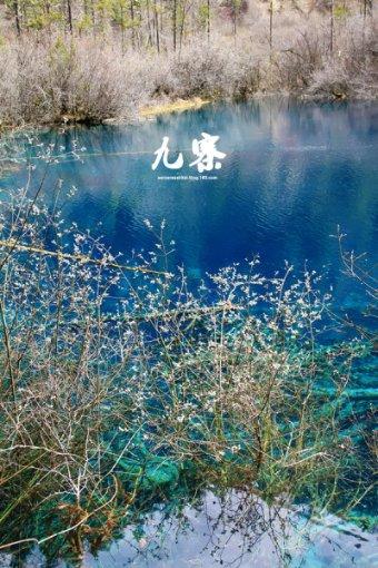 “清水”出芙蓉!中冶建工承建全国县级体量最大的图书馆全面封顶